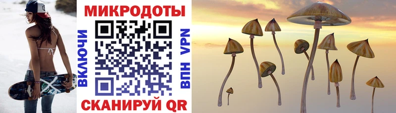 что такое   Калининск  Галлюциногенные грибы GOLDEN TEACHER 